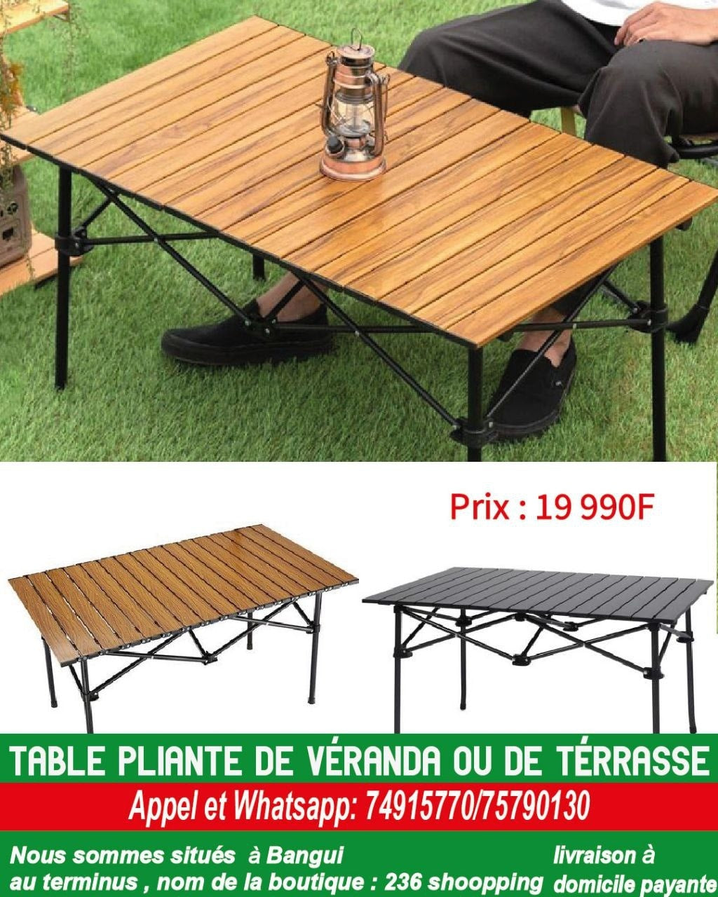 Table Pliante Portable de Camping/Terrasse